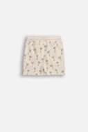 COCCODRILLO šorti, krēmkrāsa, WC6121502IBN-003-074, 74 izmērs