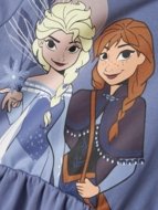 NAME IT FROZEN kleita ar garām piedurknēm, 13247015 128