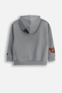 COCCODRILLO džemperis SPORTS BOY JUNIOR, pelēks, ZC5132301SBJ-019-128, 128 cm