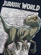NAME IT JURASSIC WORLD t-krekls, 13244991-282D3C 122/128 cm