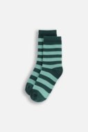 COCCODRILLO zeķes SOCKS BOY, krāsains, cm