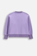 COCCODRILLO džemperis, violets, izmērs