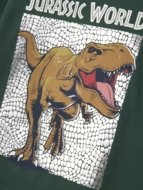 NAME IT JURASSIC WORLD t-krekls, 13244991-3E524B 116 cm