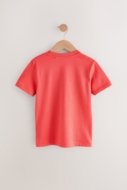 NEXT t-krekls, E98706, 140