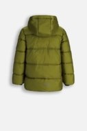COCCODRILLO jakete OUTERWEAR BOY JUNIOR, zaļš, cm