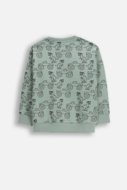 COCCODRILLO džemperis, zaļa, WC6132102NBK-011-116, 116 cm