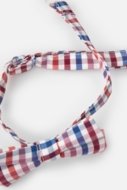 COCCODRILLO tauriņš ELEGANT BABY BOY, multicoloured, ZC3371202EBB-022  