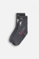 COCCODRILLO zeķes SOCKS BOY, krāsains, cm