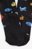 COCCODRILLO zeķes SOCKS BOY, krāsains,