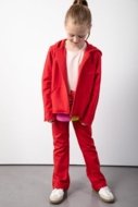 COCCODRILLO džemperis ACADEMY GIRL KIDS, sarkans, ZC5132601AGK-009-116, 116 cm