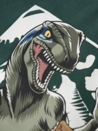 NAME IT JURASSIC WORLD t-krekls, 13254420-395551 92 cm