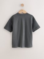 NEXT t-krekls, F23914, cm