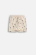 COCCODRILLO šorti, krēmkrāsa, WC6121502IBN-003-074, 74 izmērs