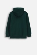 COCCODRILLO džemperis ar kapuci, zaļa, WC6132301VBA-011-146, 146 cm