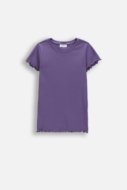 COCCODRILLO t-krekls ar īsam piedurknēm, violeti, cm