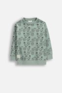 COCCODRILLO džemperis, zaļa, WC6132102NBK-011-116, 116 cm