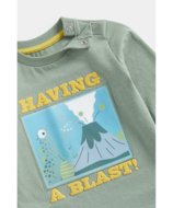 MOTHERCARE krekls ar garām piedurknēm, FB979