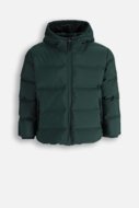COCCODRILLO jakete OUTERWEAR BOY JUNIOR, zaļš, cm
