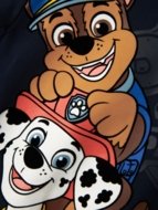 NAME IT PAW PATROL džemperis, 13238408
