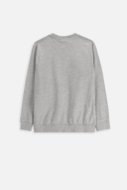 COCCODRILLO t-krekls EVERYDAY BOY A, pelēks, cm