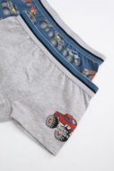 COCCODRILLO biksītes PANTIES, krāsa, WC5409503PAN-022-128, 128