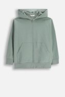 COCCODRILLO džemperis ar rāvējslēdzēju ar kapuci, zaļa, WC6132401NBJ-011-164, 164 cm