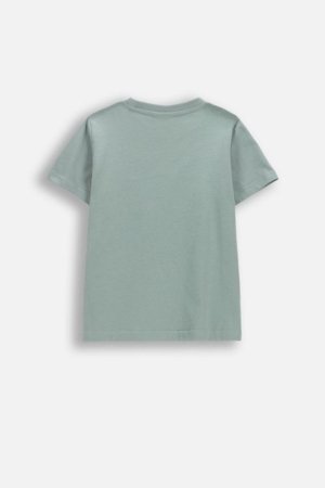 COCCODRILLO t-krekls ar īsam piedurknēm, zali, cm 