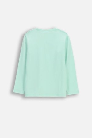 COCCODRILLO t-krekls ar garām piedurknēm, mint, cm 