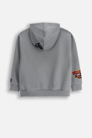 COCCODRILLO džemperis SPORTS BOY JUNIOR, pelēks, ZC5132301SBJ-019-128, 128 cm