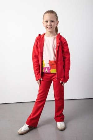 COCCODRILLO džemperis ACADEMY GIRL KIDS, sarkans, ZC5132601AGK-009-116, 116 cm 