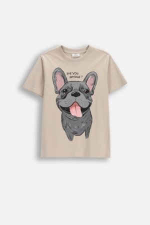 COCCODRILLO t-krekls ar īsam piedurknēm, smilšu krāsa, izmērs 