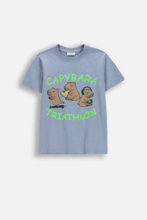 COCCODRILLO t-krekls ar īsam piedurknēm, zili, cm 