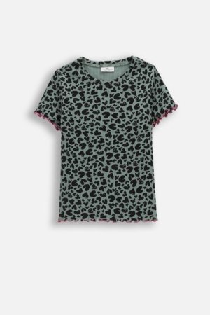 COCCODRILLO t-krekls ar īsam piedurknēm, daudzkrāsaini, WC6143202RGJ-011-140, 140 cm 