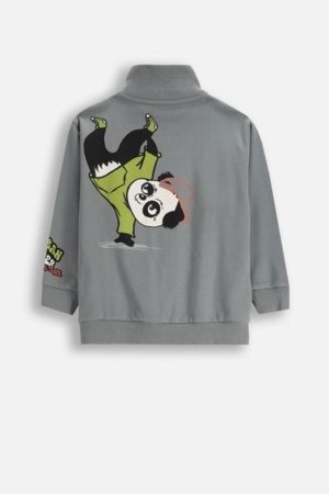 COCCODRILLO džemperis SPORTS BOY KIDS, pelēks, ZC5132201SBK-019-116, 116 cm