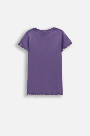 COCCODRILLO t-krekls ar īsam piedurknēm, violeti, cm 