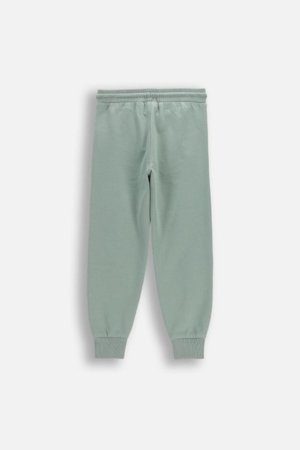 COCCODRILLO džogera bikses, zali, cm 