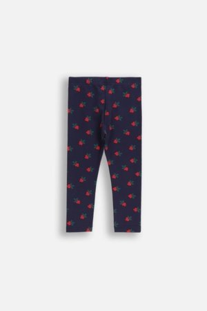 COCCODRILLO tamprės, mėlynos, cm 