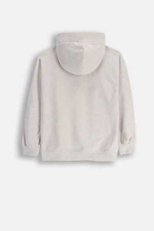 COCCODRILLO džemperis ar kapuci LICENCE GIRL, pelēks, WC5132301LGD-019-164, 164 cm