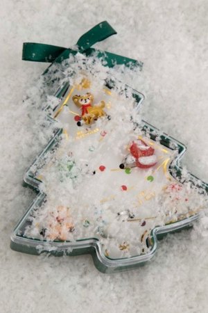 COCCODRILLO juvelierizstrādājumi, krāsaini, ZC5322201MER-022-000 