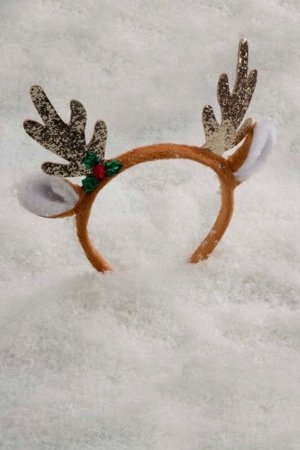 COCCODRILLO matu stīpiņa, krāsains, ZC5311907MER-022-000 