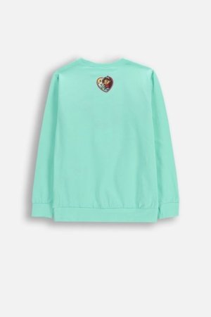 COCCODRILLO t-krekls ar garām piedurknēm, zali, cm 