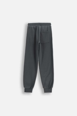 COCCODRILLO džogera bikses, pelēki, cm 