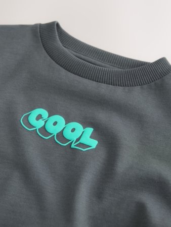 NEXT t-krekls ar īsam piedurknēm, H56255, 86 cm 