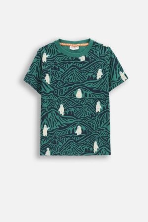 COCCODRILLO t-krekls, daudzkrāsains, cm 