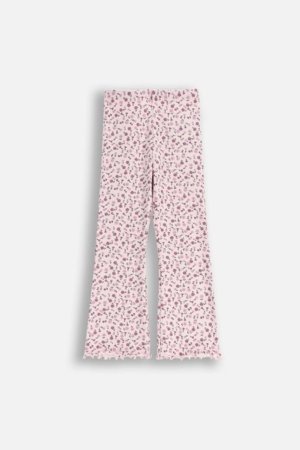 COCCODRILLO zeķubikses, daudzkrāsains, ZC5122102WGK-022-104, 104 cm 