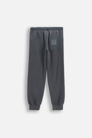 COCCODRILLO džogera bikses, graphite, WC6120104NBJ-020-146, 146 cm 