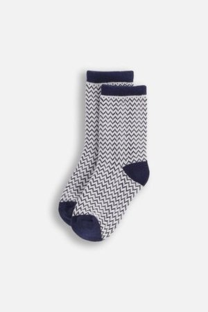 COCCODRILLO zeķes SOCKS BOY, krāsains, 
