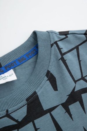 COCCODRILLO t-krekls, krāsaini, ZC5143203YBJ-022-164, 164 cm 