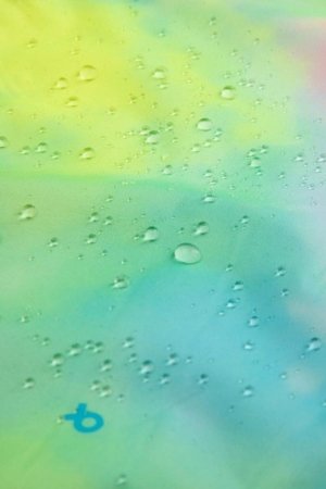 COCCODRILLO jaka, raiba, izmērs 