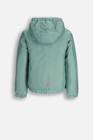 COCCODRILLO jaka, zaļa, WC6152704OGJ-027-164, 164 cm 